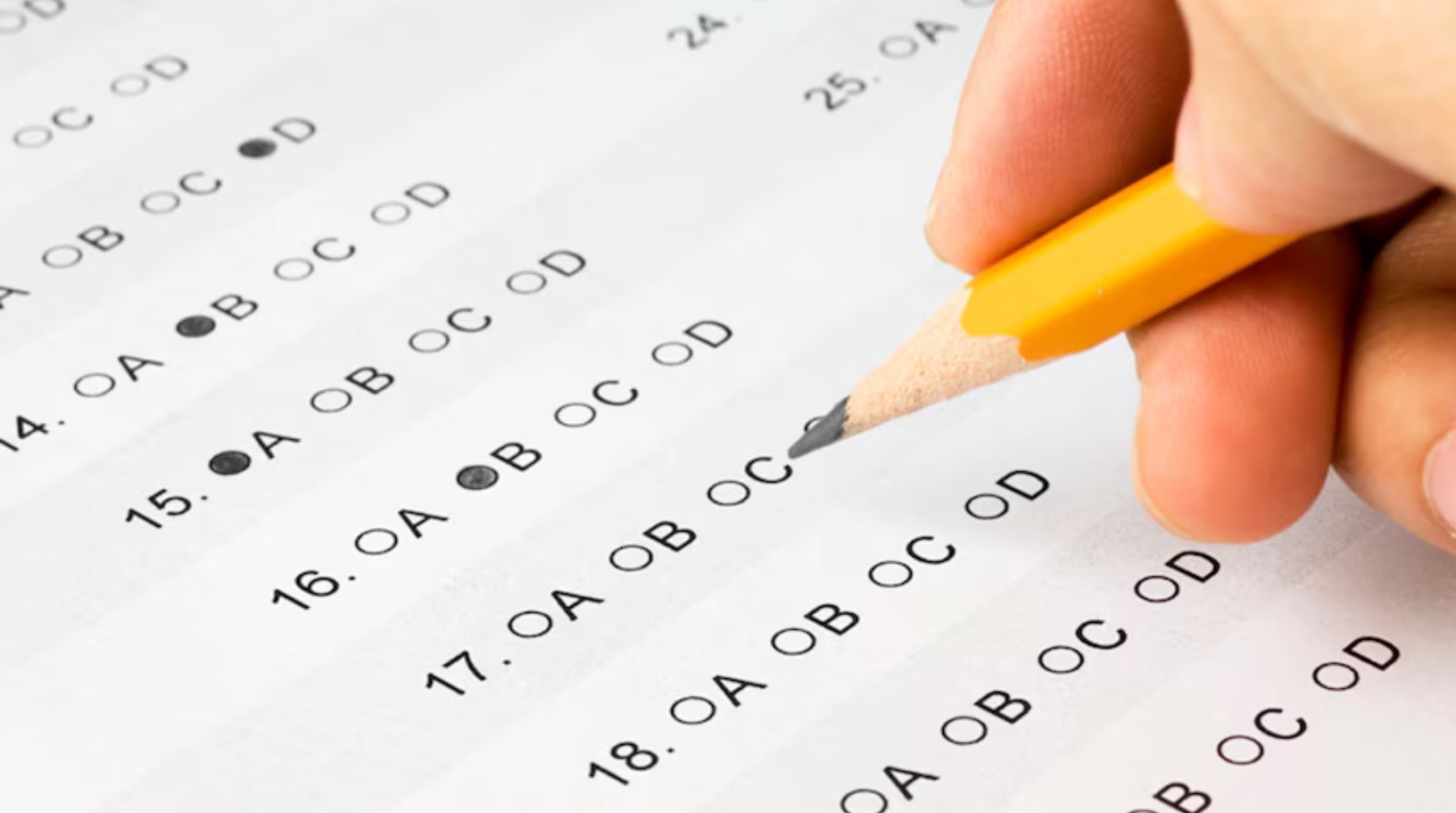 NAPLAN results are in!